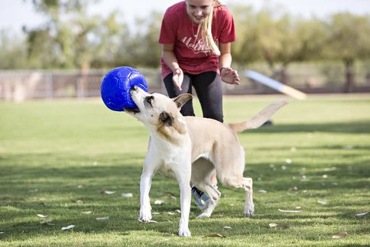 Jolly Soccer Ball
