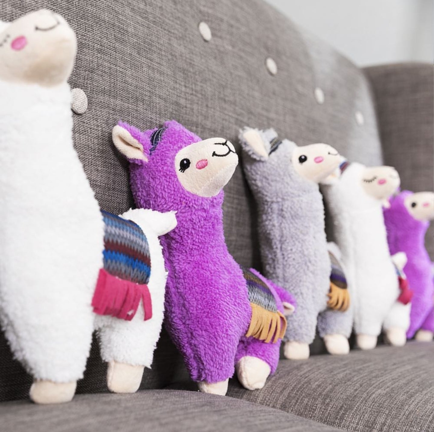 Alpaca, pluche Lekker zacht of juist stevig en robuust? TRIXIE hondenspeelgoed heeft voor ieder wat wils.
