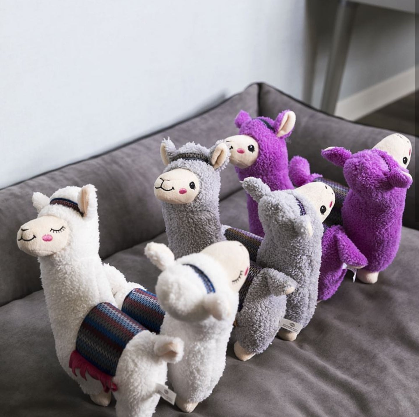Alpaca, pluche Lekker zacht of juist stevig en robuust? TRIXIE hondenspeelgoed heeft voor ieder wat wils.