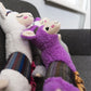 Alpaca, pluche Lekker zacht of juist stevig en robuust? TRIXIE hondenspeelgoed heeft voor ieder wat wils.