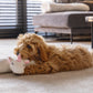 Beeztees Puppy Warmteknuffel Mon