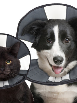 ZENCONE SOFT RECOVERY COLLAR (Comfy Cone)
