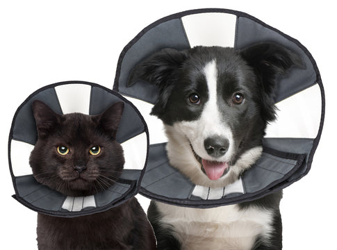 ZENCONE SOFT RECOVERY COLLAR (Comfy Cone)