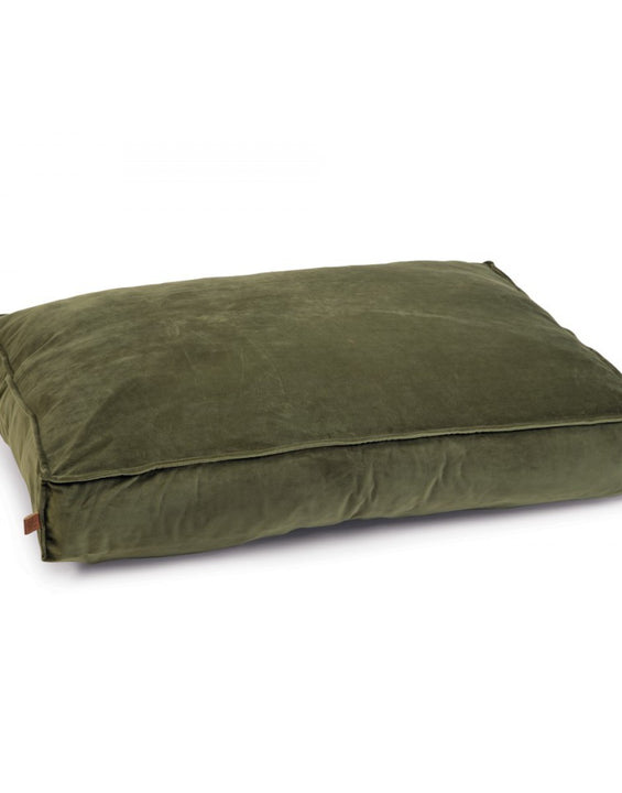 DESIGNED BY LOTTE HONDENKUSSEN NALINO