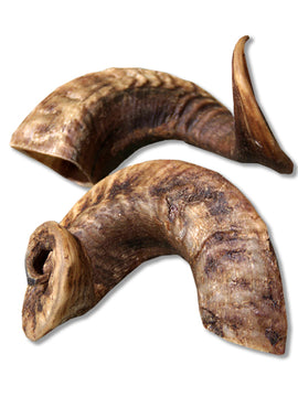 Lamshoorn