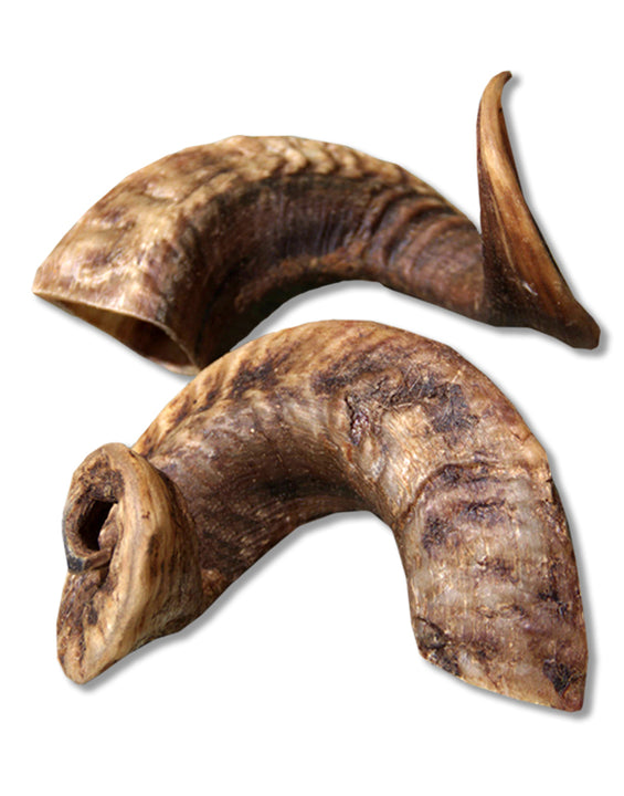 Lamshoorn